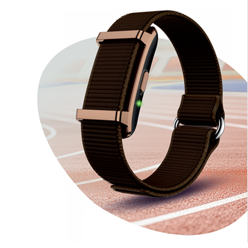 Qore 2 WELLNESS BAND