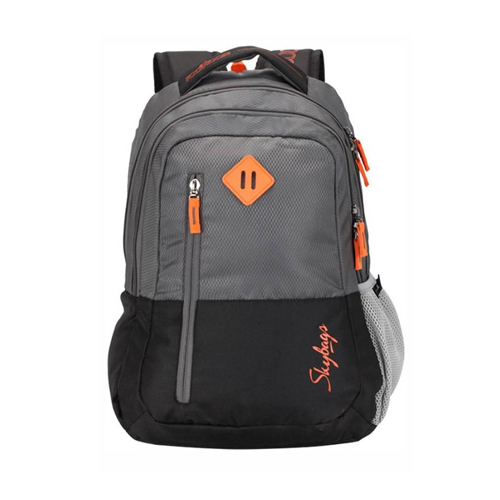 SKYBAGS CENTURY LAPTOP BACKPACK